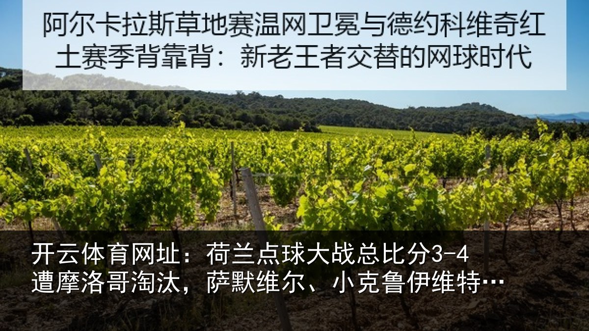 开云体育网址:荷兰点球大战总比分3-4遭摩洛哥淘汰,萨默维尔、小克鲁伊维特丢点