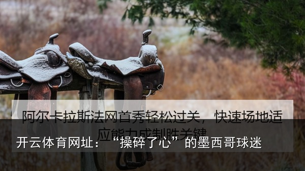 开云体育网址:“操碎了心”的墨西哥球迷
