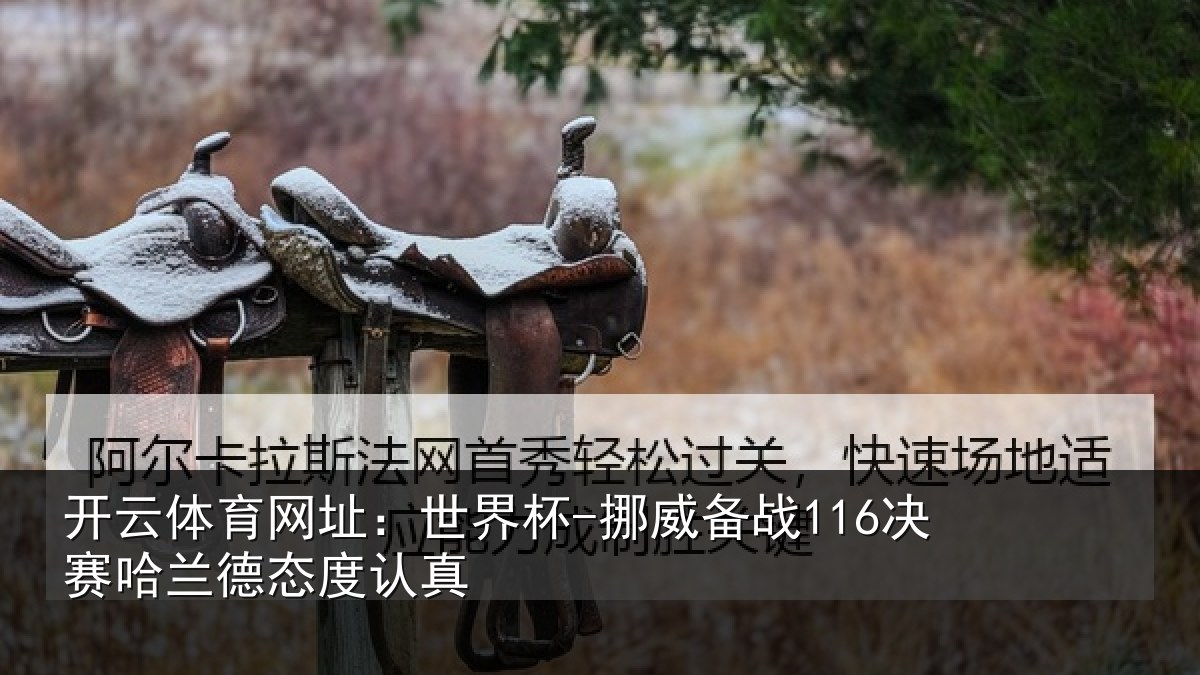 开云体育网址:世界杯-挪威备战116决赛哈兰德态度认真